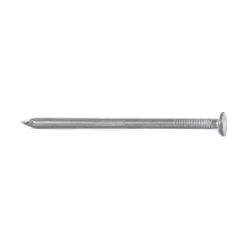 Round Wire Nail 100mm (500g)