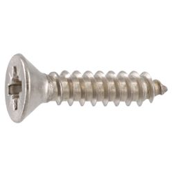 Stainless Steel Chipboard Screw 3.5x20mm (25)