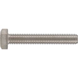 Stainless Steel Set Screw 10x60mm (2)