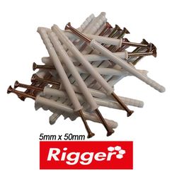 Nail In Anchors Bulk 5x 50 Pack 100