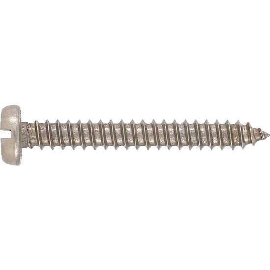 Stainless Steel Self Tapper Pan Head 3.5x25mm (10)